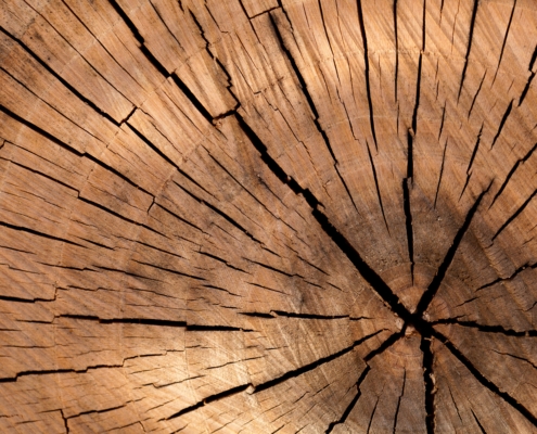 lumber-84678